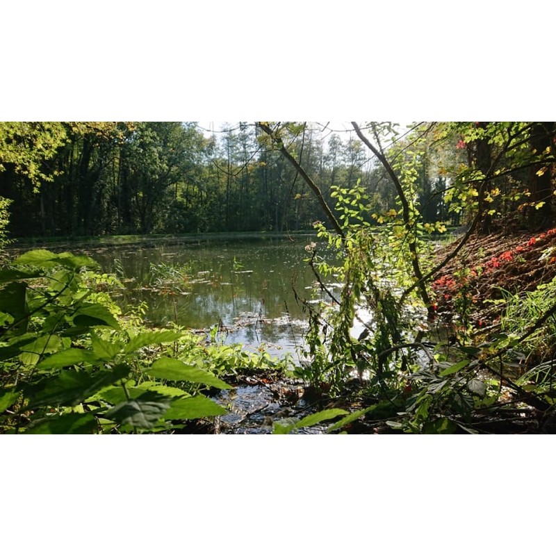 cuissarde le chameau oceane